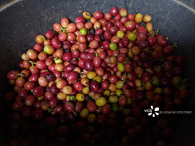 咖啡豆图片素材