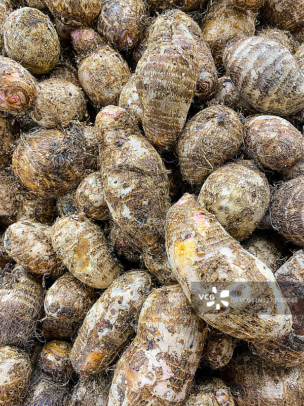 芋头根特写图片素材