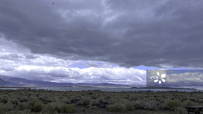 冬季莫诺湖雪景图片素材