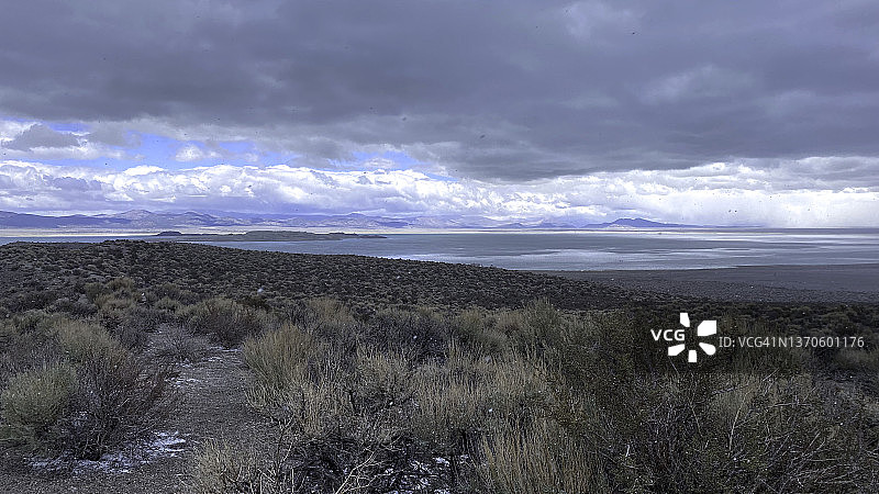 冬季莫诺湖雪景图片素材