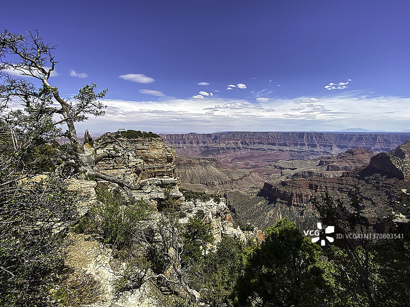 大峡谷国家公园北缘的瓦尔哈拉观景台和古树图片素材