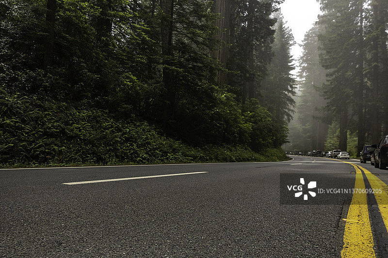 巨型红杉下的高速公路路障图片素材
