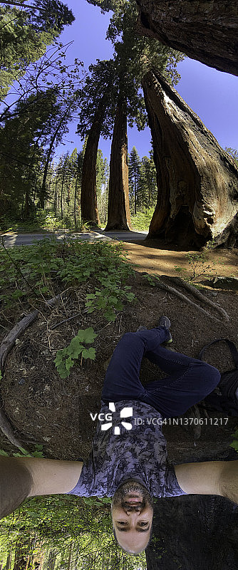红杉国家森林公园四卫士下的自拍广角照片图片素材