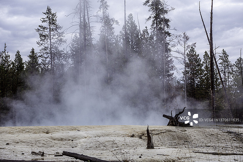 黄石诺里斯间歇泉盆地的翡翠泉图片素材