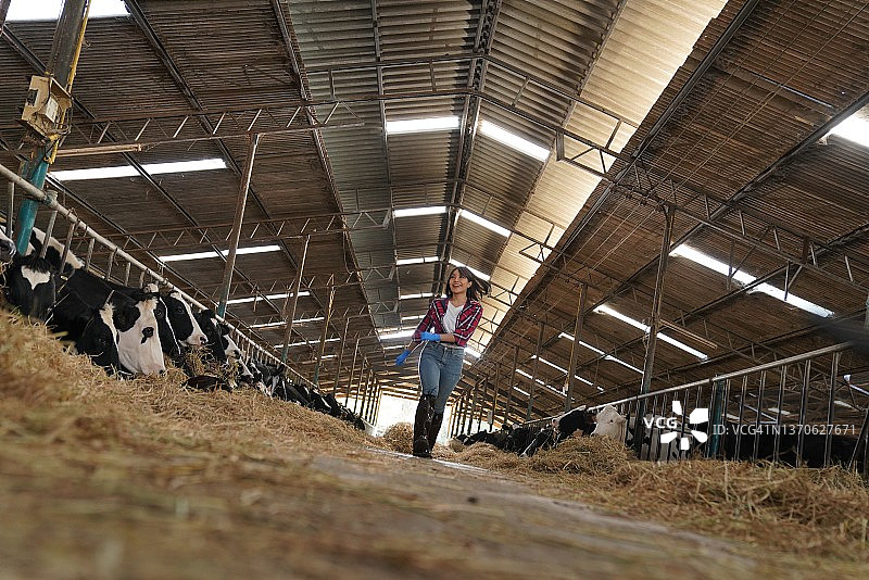 奶牛场的亚洲农民图片素材