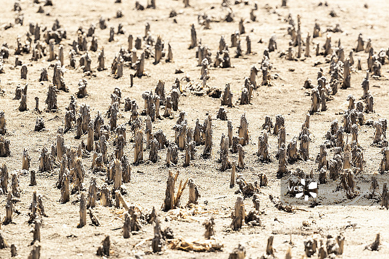 干涸的湖床图片素材