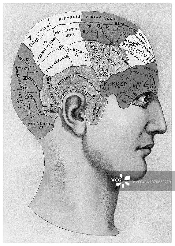人脑功能古老雕刻插图图片素材