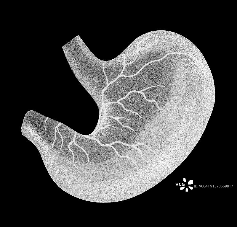 人类胃部古老雕刻插图图片素材