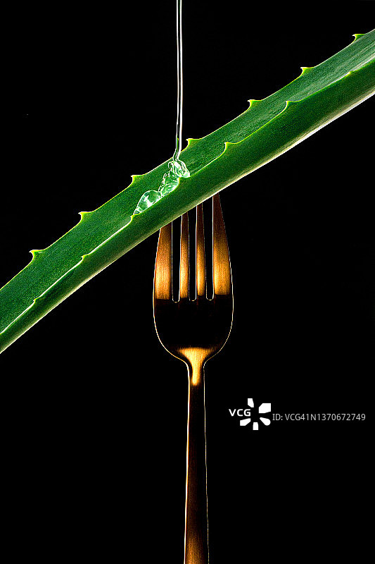 芦荟叶美容产品背景：保湿清洁化妆品凝胶或面部精华图片素材