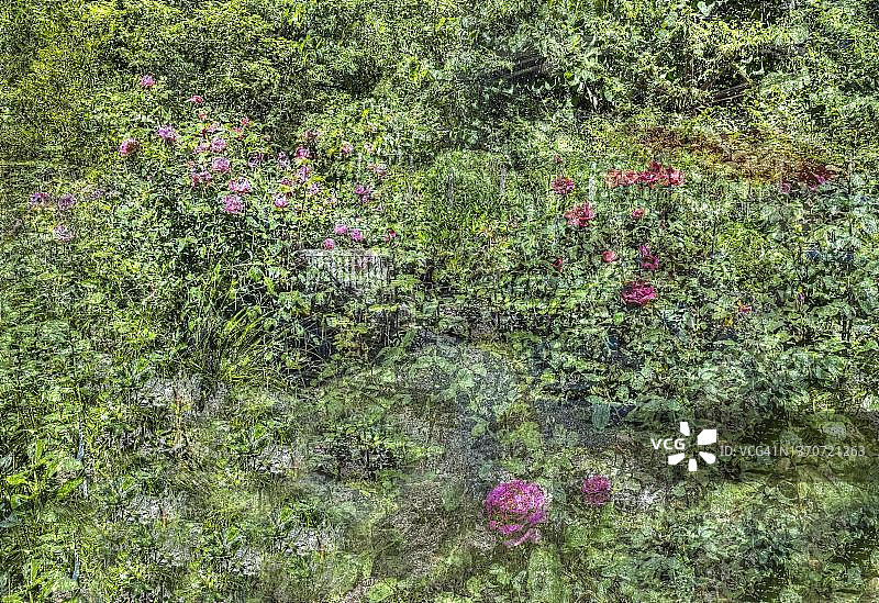 德国花园创意花卉灌木月季图片素材