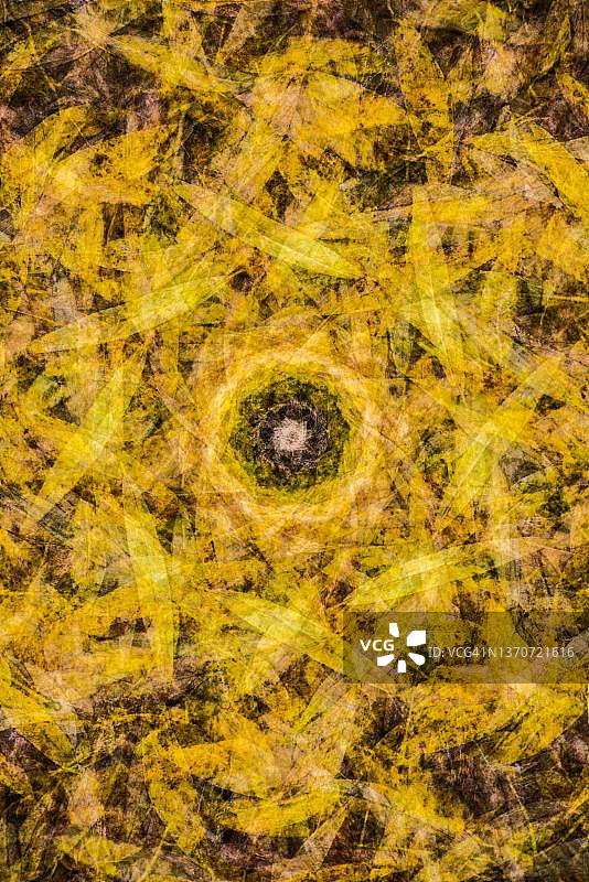 德国秋季森林地面的树叶双重曝光抽象背景图片素材