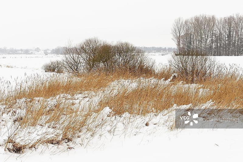 冬季杜默湖雪景，位于德国下萨克森州图片素材