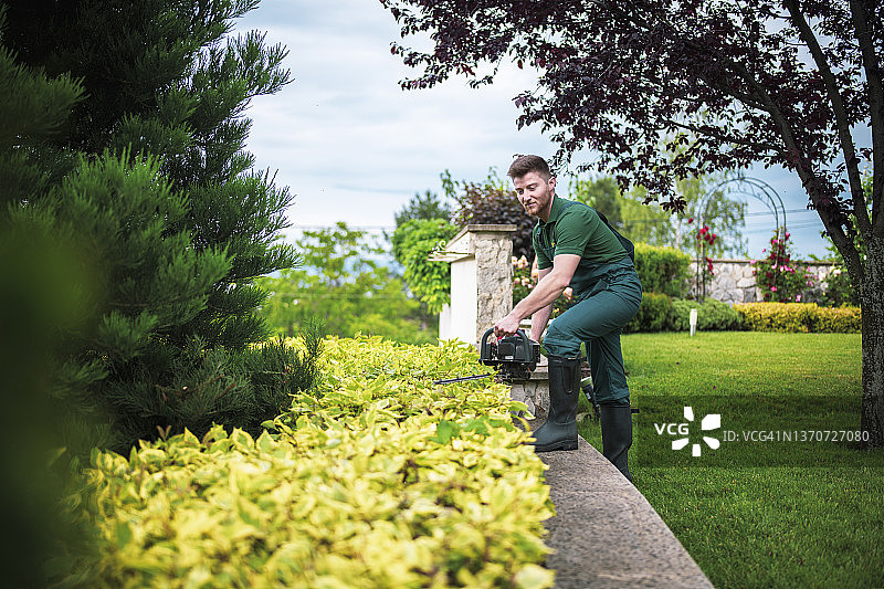 专业园丁用电动锯修剪树篱图片素材