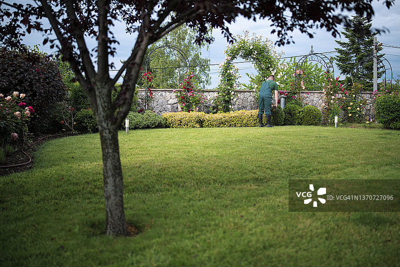 专业景观美化图片素材