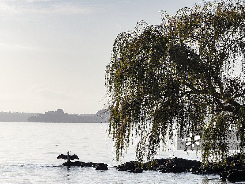 博尔塞纳湖图片素材