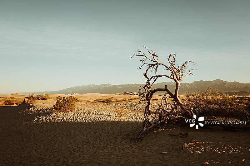 死亡谷梅斯基特沙丘日出图片素材