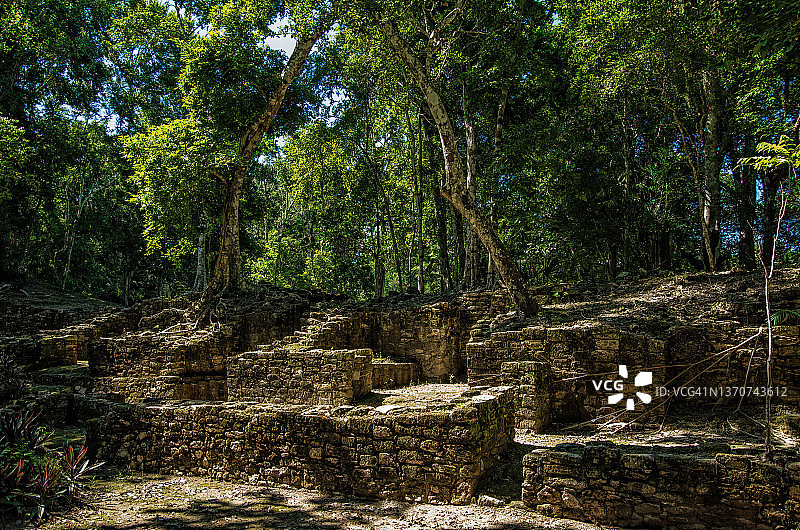 墨西哥金塔纳罗奥州迪斯班切图片素材