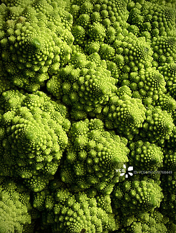 西兰花背景图片素材