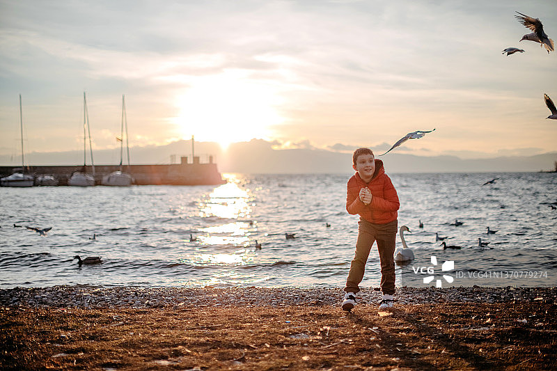 在湖边喂鸟图片素材