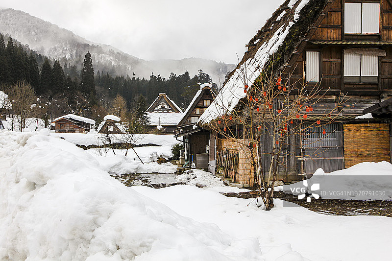 冬季白川乡历史村落图片素材