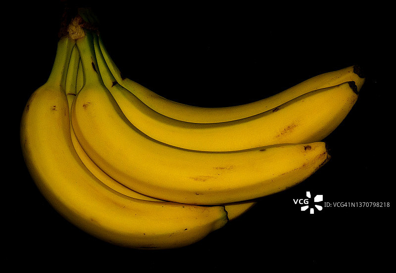 黑色背景上的一串黄色成熟香蕉图片素材