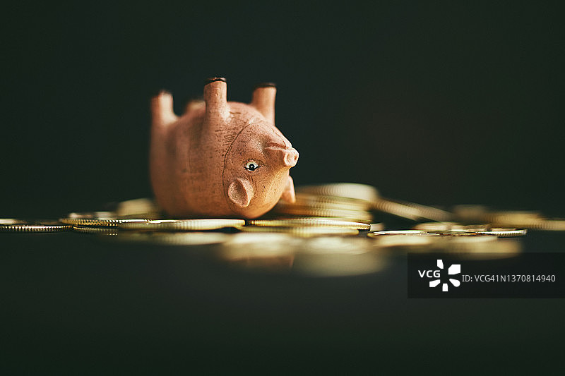 倒立在金币堆上的可爱粉色小猪图片素材