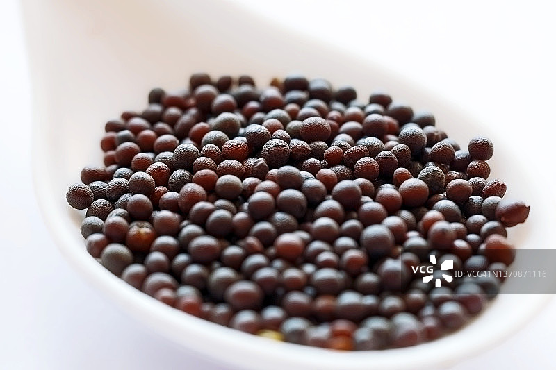 芥菜籽的宏观图图片素材