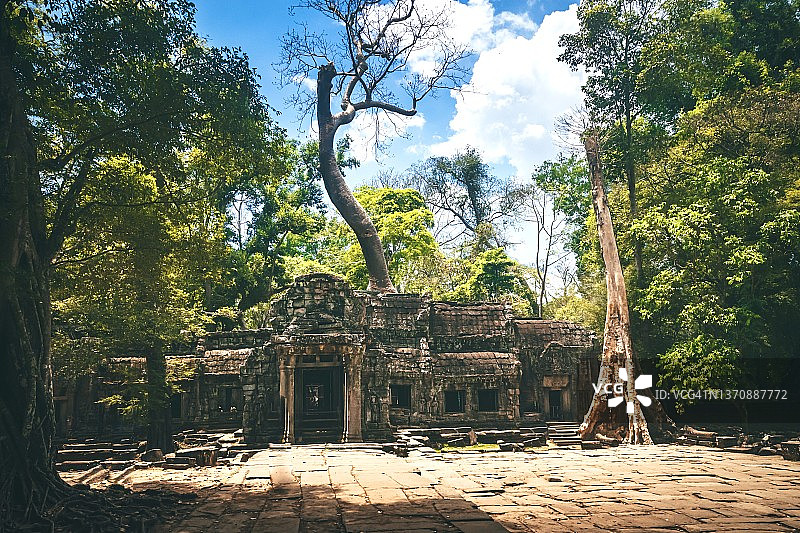 仰视：柬埔寨吴哥窟塔布笼寺图片素材