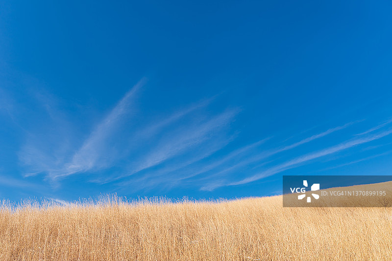 四月日本的蓝天草地图片素材