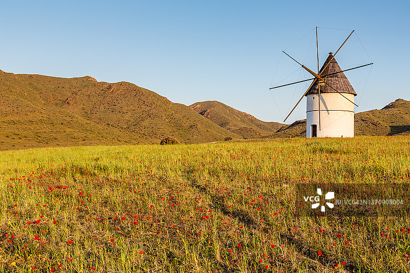 加塔角日出时的老风车图片素材