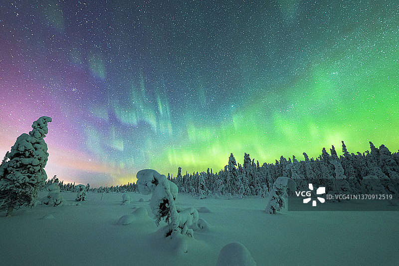 芬兰拉普兰：北极森林上的北极光图片素材