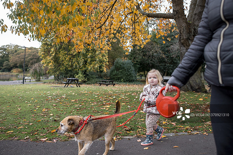 公园里的遛狗图片素材