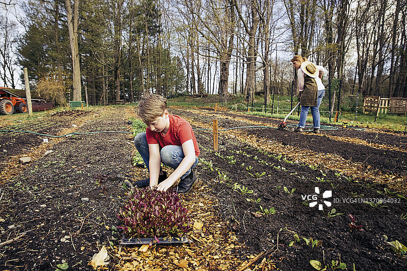 孩子在花园里种植，女人在农场背景下工作图片素材