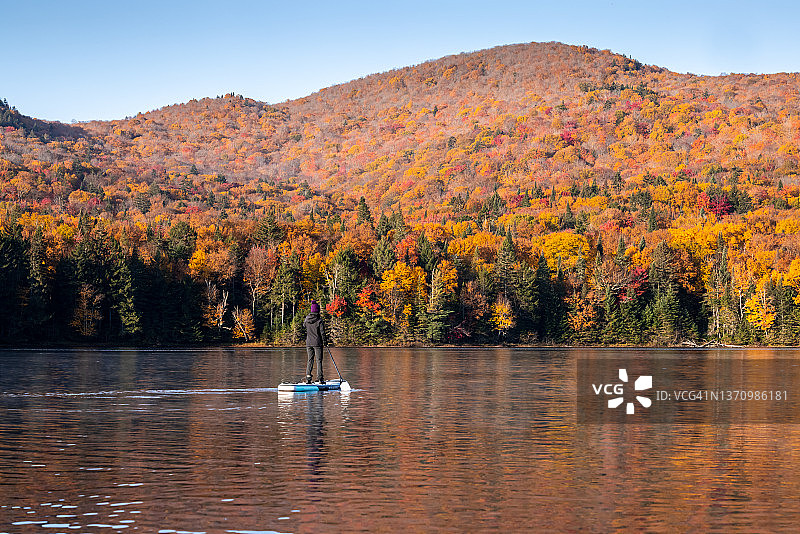 女人在加拿大魁北克省翠湖山国家公园秋季的湖上划桨板图片素材