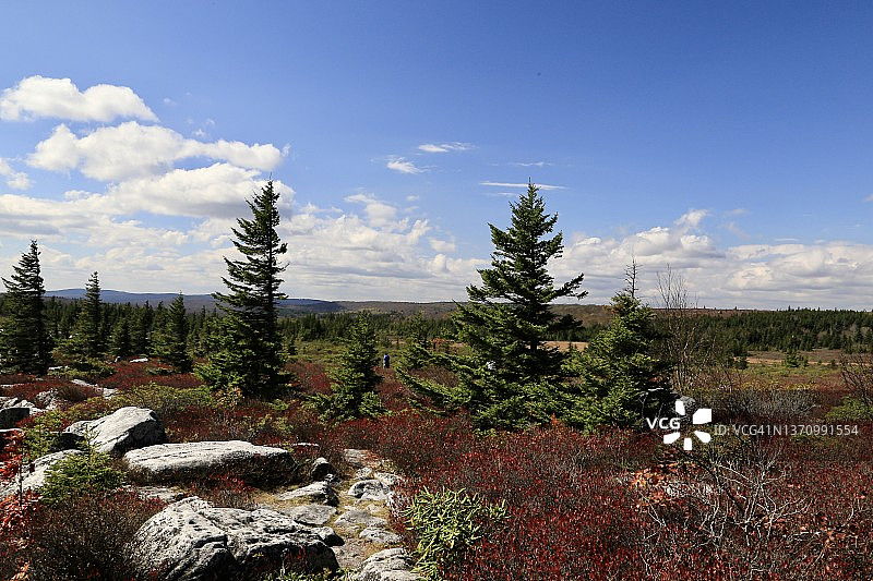 美国西弗吉尼亚州多利索兹荒原阿勒格尼山脉图片素材