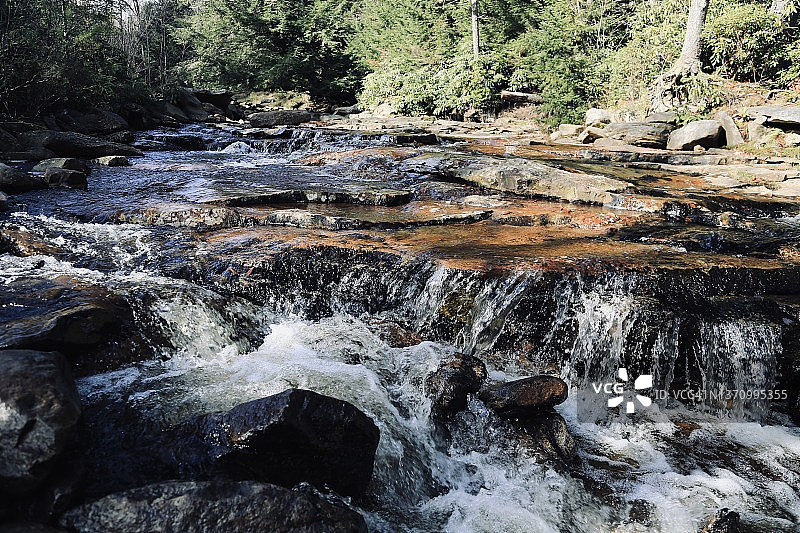阿勒格尼山脉的山泉水图片素材