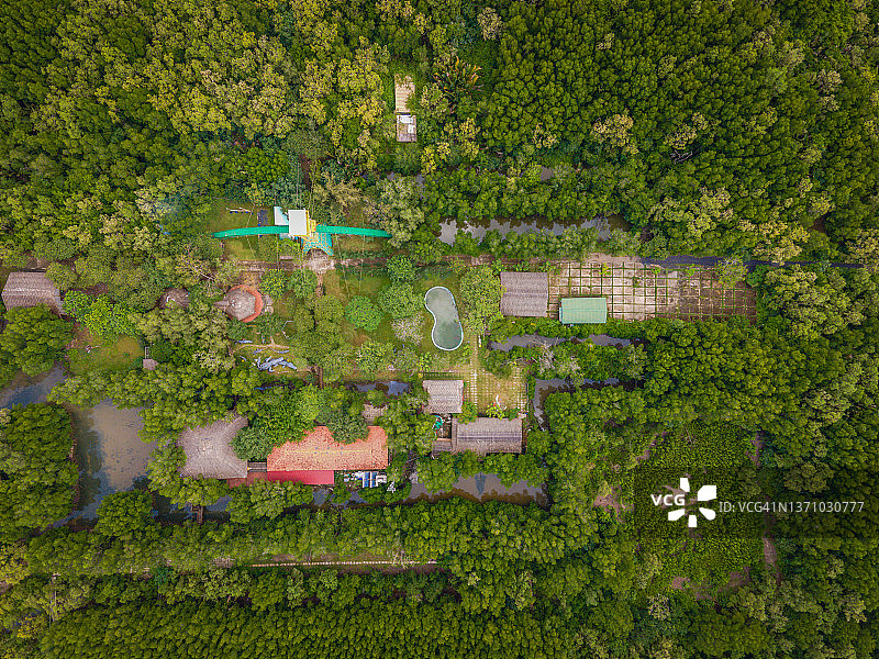 航拍：越南芹椰Vam Sat红树林，美丽的红树林和Tang Bong森林瞭望塔图片素材