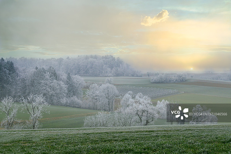 瑞士阿尔高霜冻的早晨景观日出图片素材