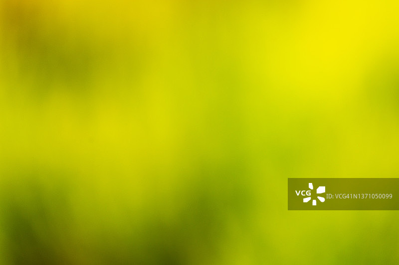 绿色背景图片素材