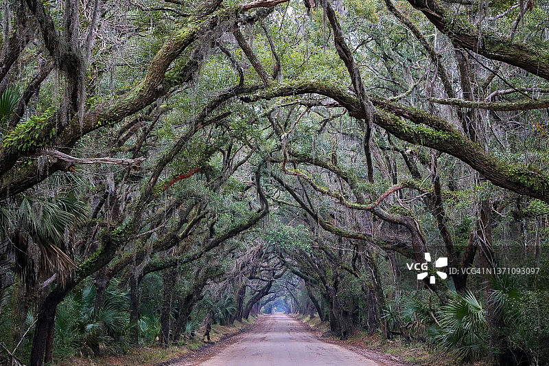 美丽的泥路图片素材