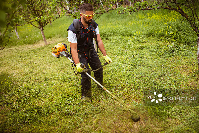 一个年轻人在果园里割草图片素材
