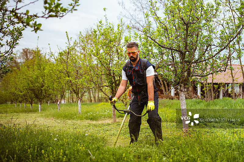 一个年轻人在果园里割草图片素材