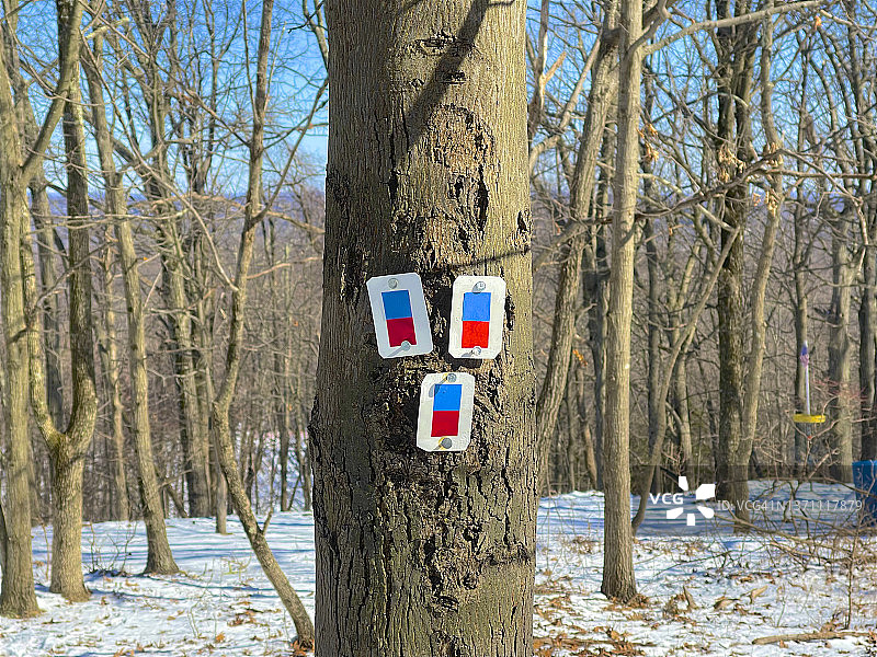 带有路径标记的树图片素材