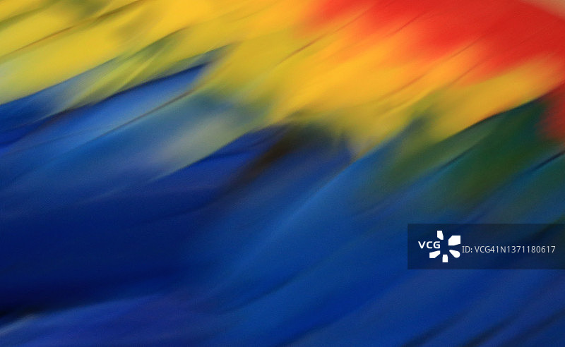 绘画风格散焦多色金刚鹦鹉羽毛图片素材