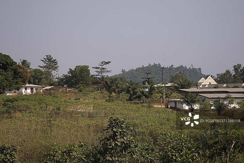 利比里亚宁巴州甘塔木薯种植园景色图片素材