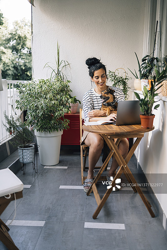 在家工作的美丽微笑女人，她的狗坐在她的腿上图片素材