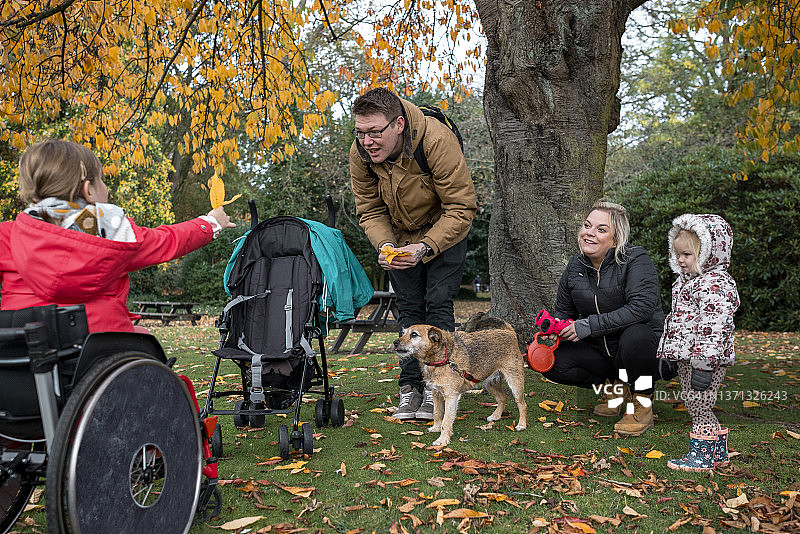 金色秋叶图片素材