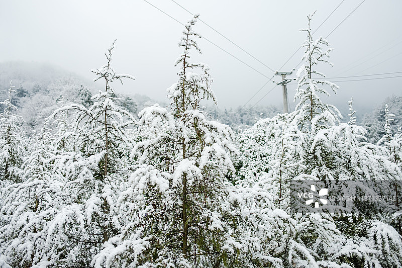 中国贵州冬季乡村风光图片素材