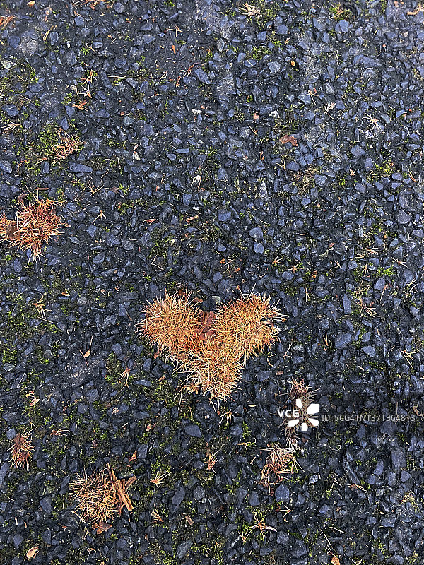 自然中的爱与浪漫概念图片素材