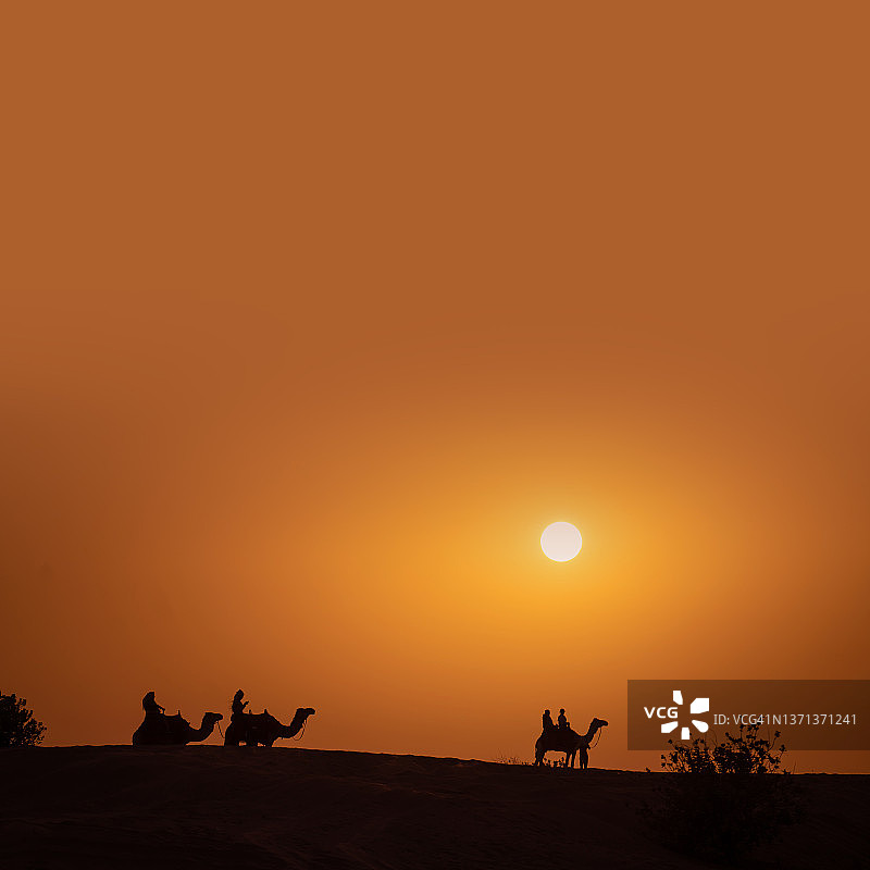 迪拜的旅游驼队剪影图片素材